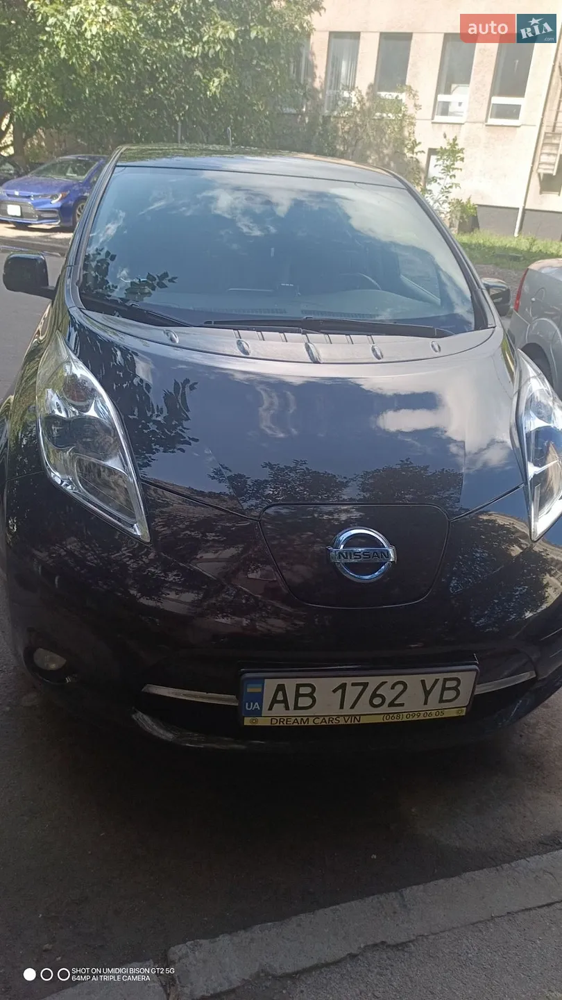 2013 Nissan Leaf - фото 1