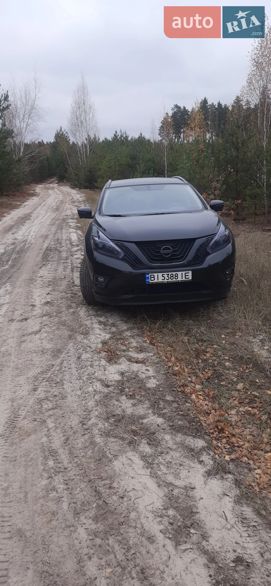 2018 Nissan Murano - мініатюра 21