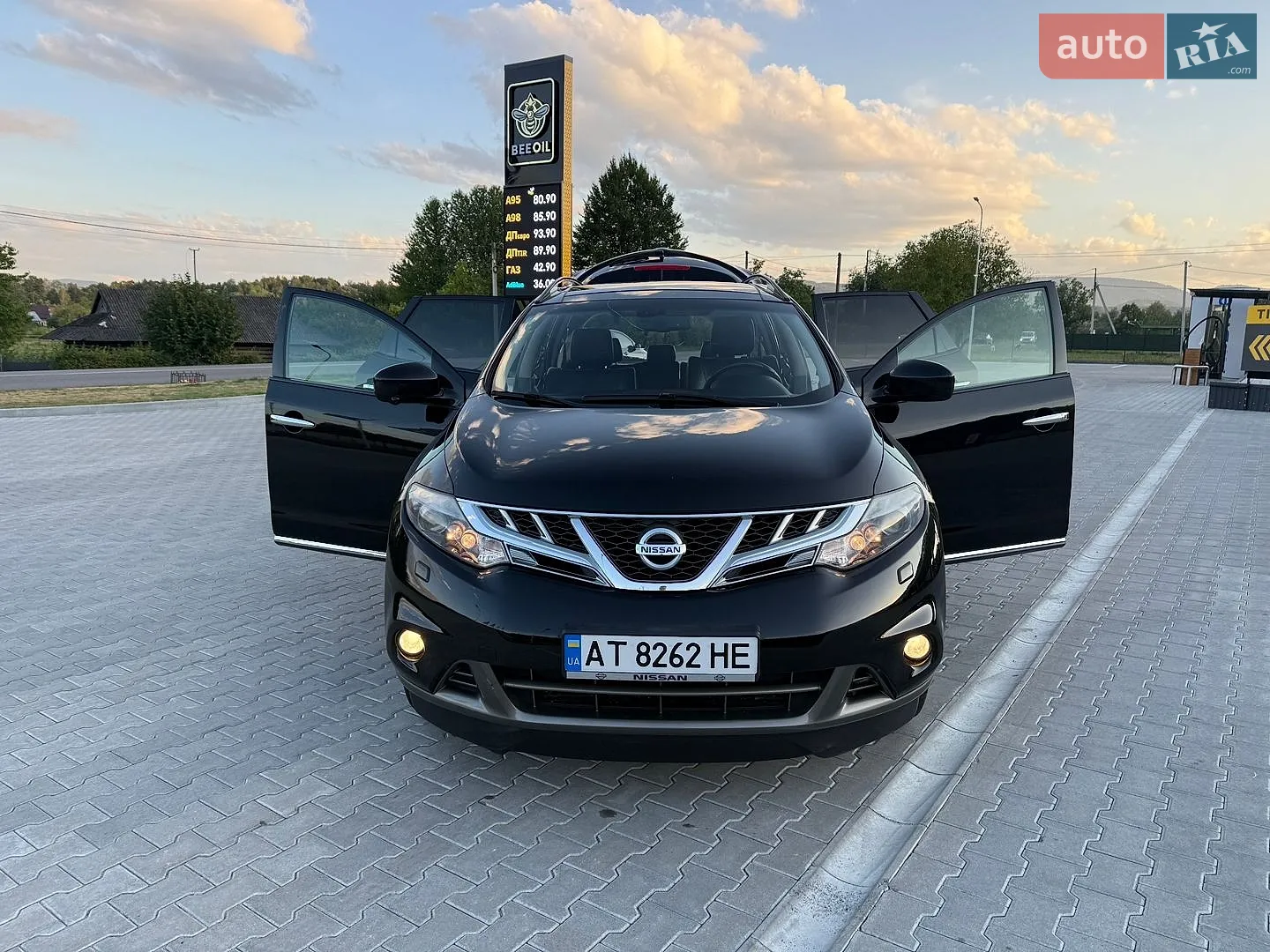 2010 Nissan Murano - мініатюра 29