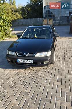 Седан Nissan Primera 1996 в Немирові