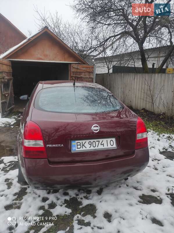Лифтбек Nissan Primera 2003 в Здолбунове