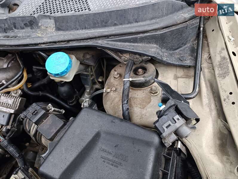 Універсал Nissan Primera 2005 в Бородянці