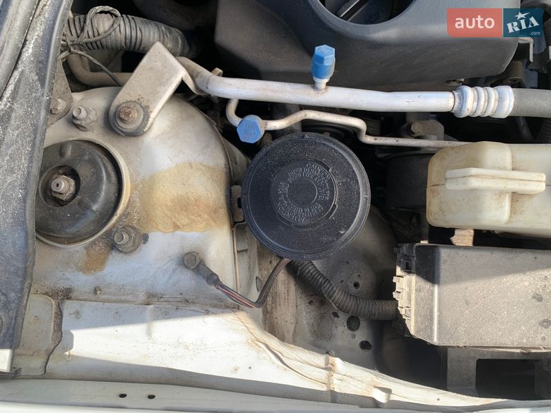 Лифтбек Nissan Primera 2004 в Обухове фото 23 Лифтбек Nissan Primera 2004 в Обухове