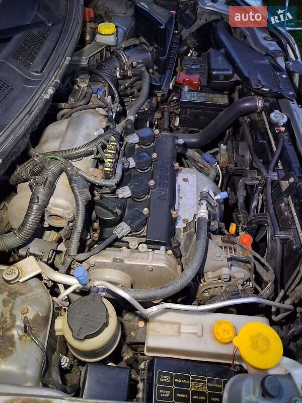 Внедорожник / Кроссовер Nissan X-Trail 2006 в Сарнах фото 20 Внедорожник / Кроссовер Nissan X-Trail 2006 в Сарнах