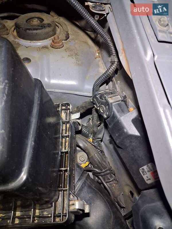 Внедорожник / Кроссовер Nissan X-Trail 2006 в Сарнах фото 26 Внедорожник / Кроссовер Nissan X-Trail 2006 в Сарнах