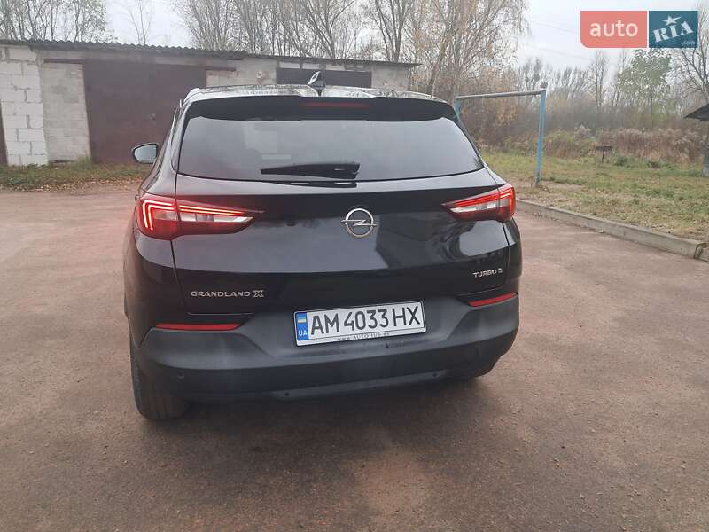 Внедорожник / Кроссовер Opel Grandland X 2019 в Коростене фото 37 Внедорожник / Кроссовер Opel Grandland X 2019 в Коростене