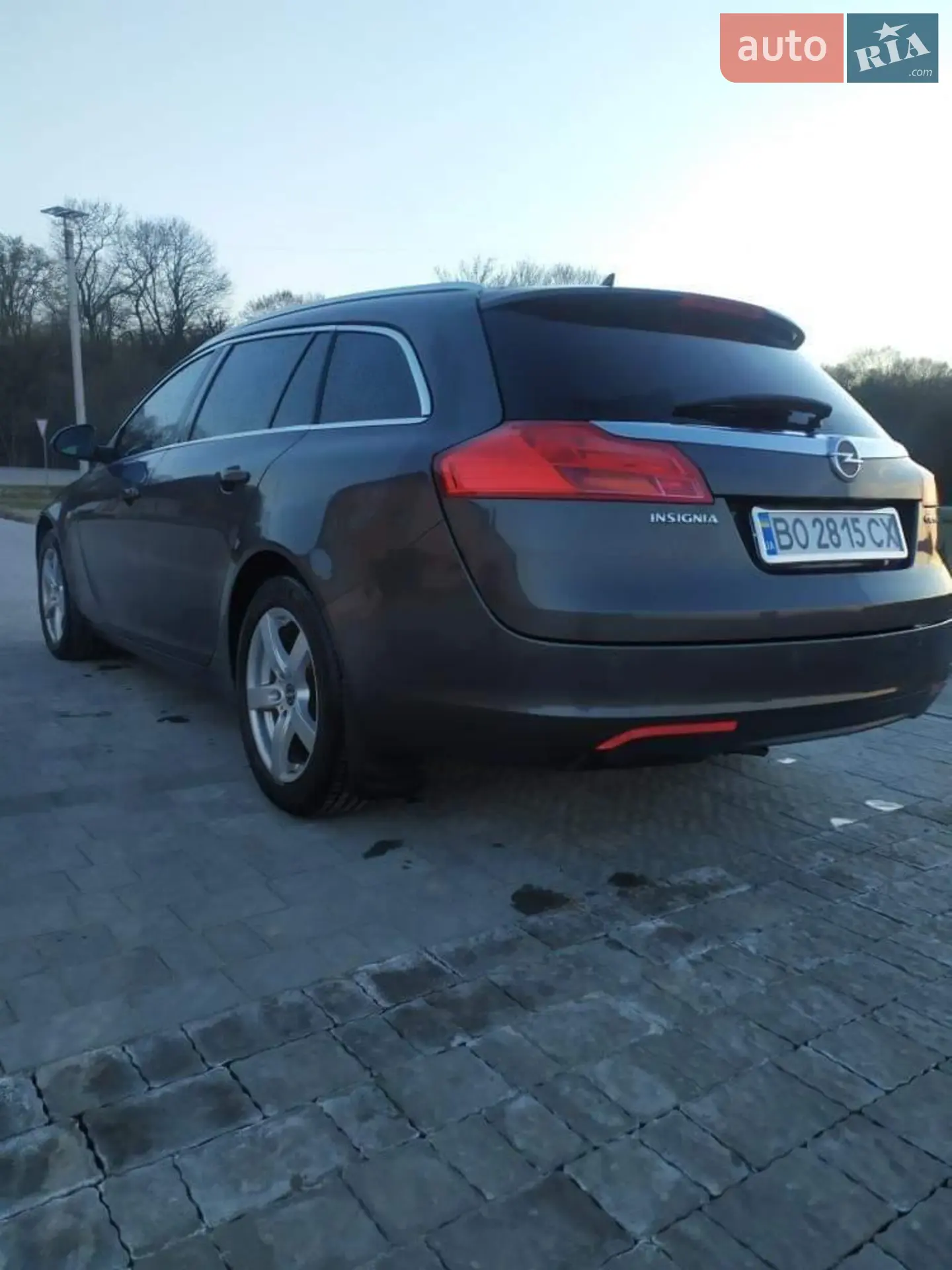 2010 Opel Insignia - мініатюра 4