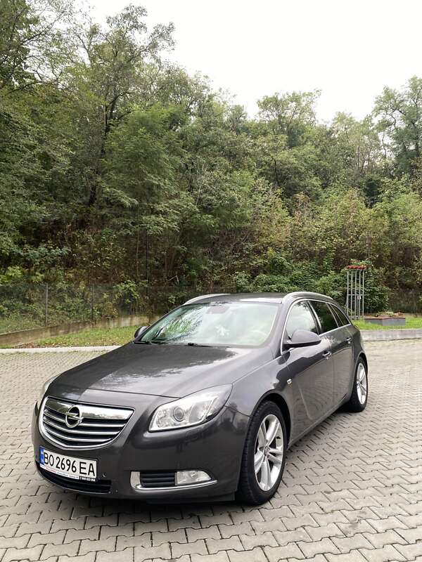 Универсал Opel Insignia 2012 в Залещиках