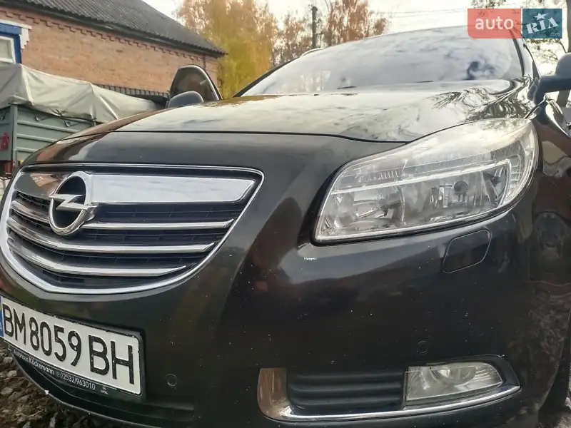 Opel Insignia 2009 VIN W0LGT87K691052301 фото оголошення 14 з 47