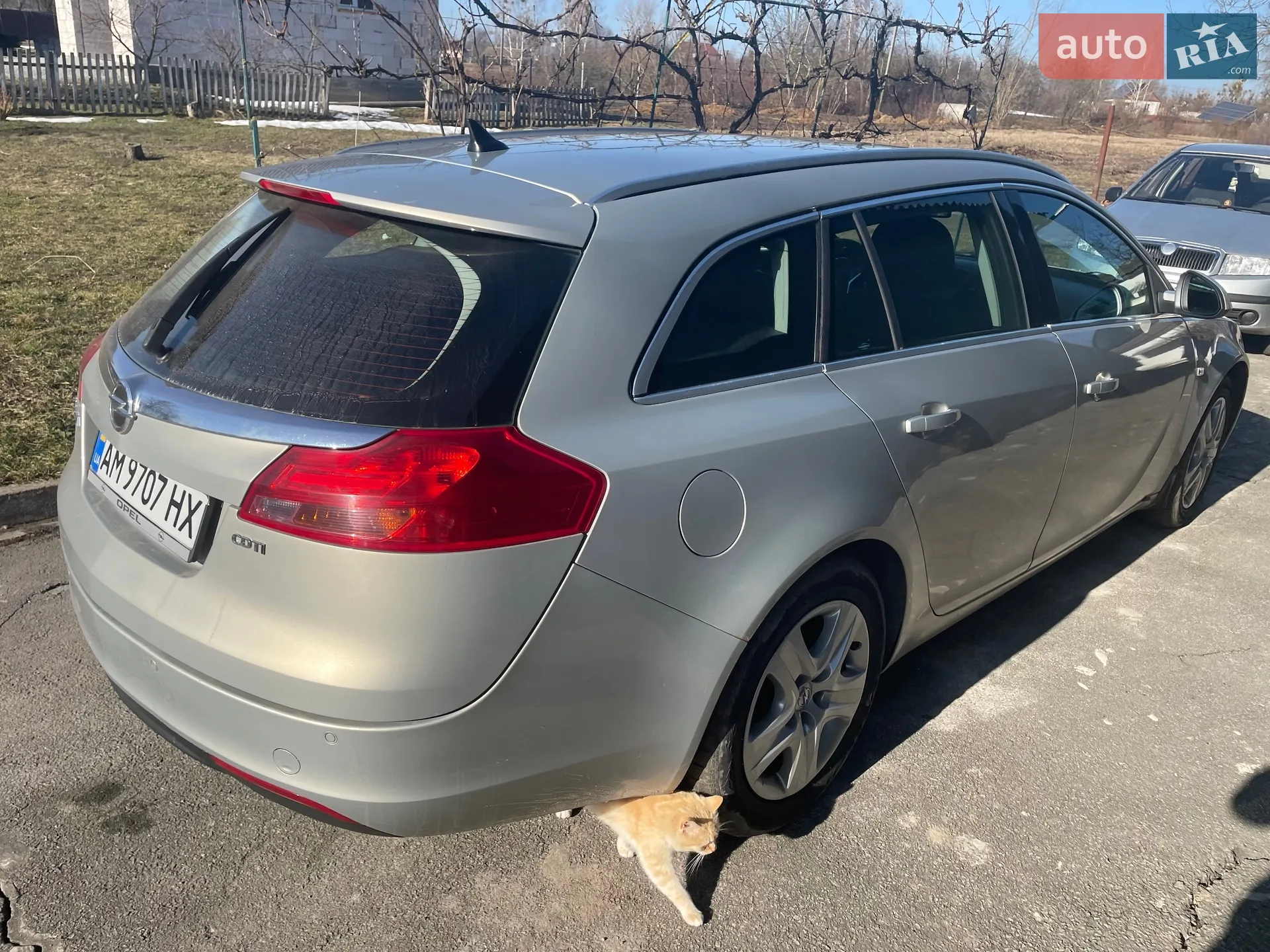 2010 Opel Insignia - мініатюра 5