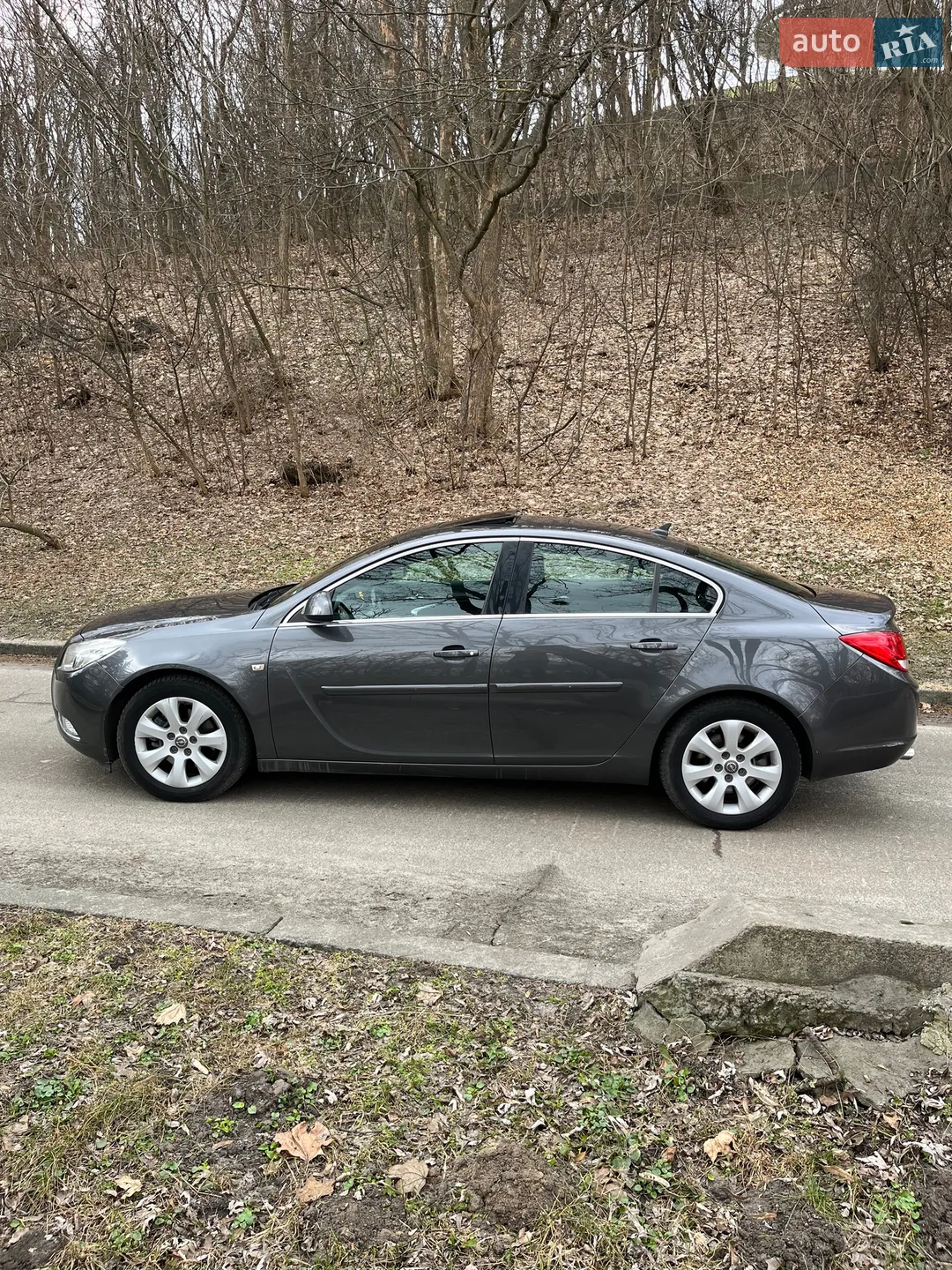 2010 Opel Insignia - мініатюра 3