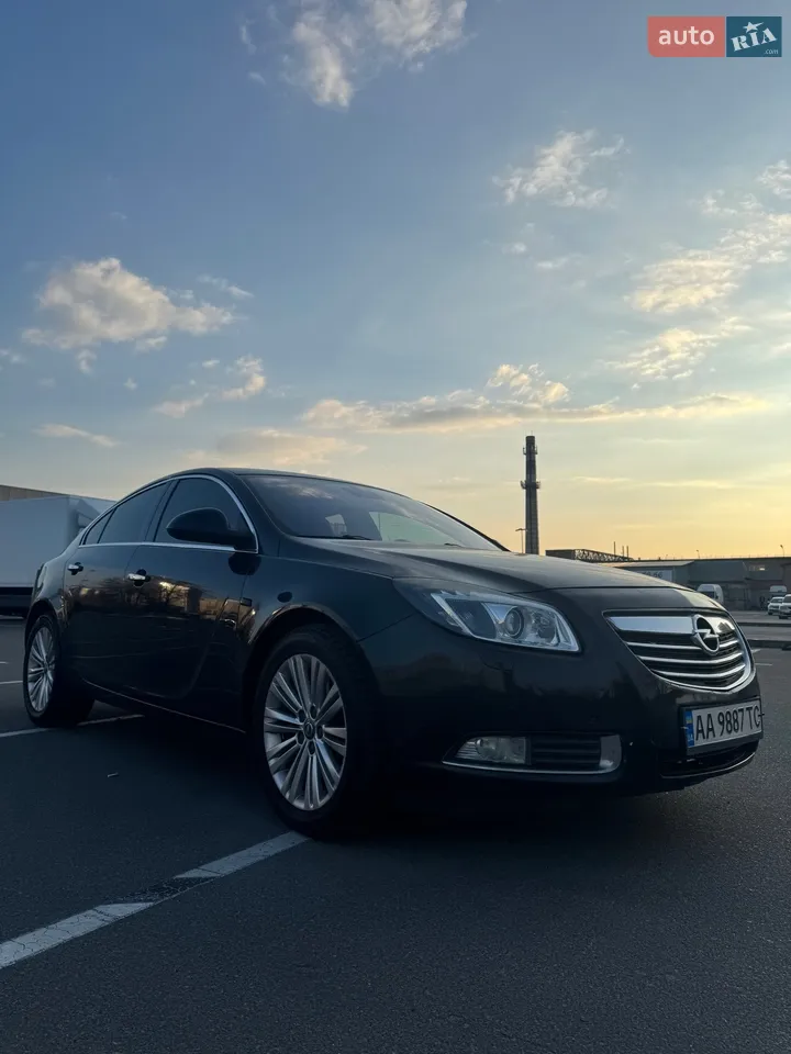 2010 Opel Insignia - мініатюра 14