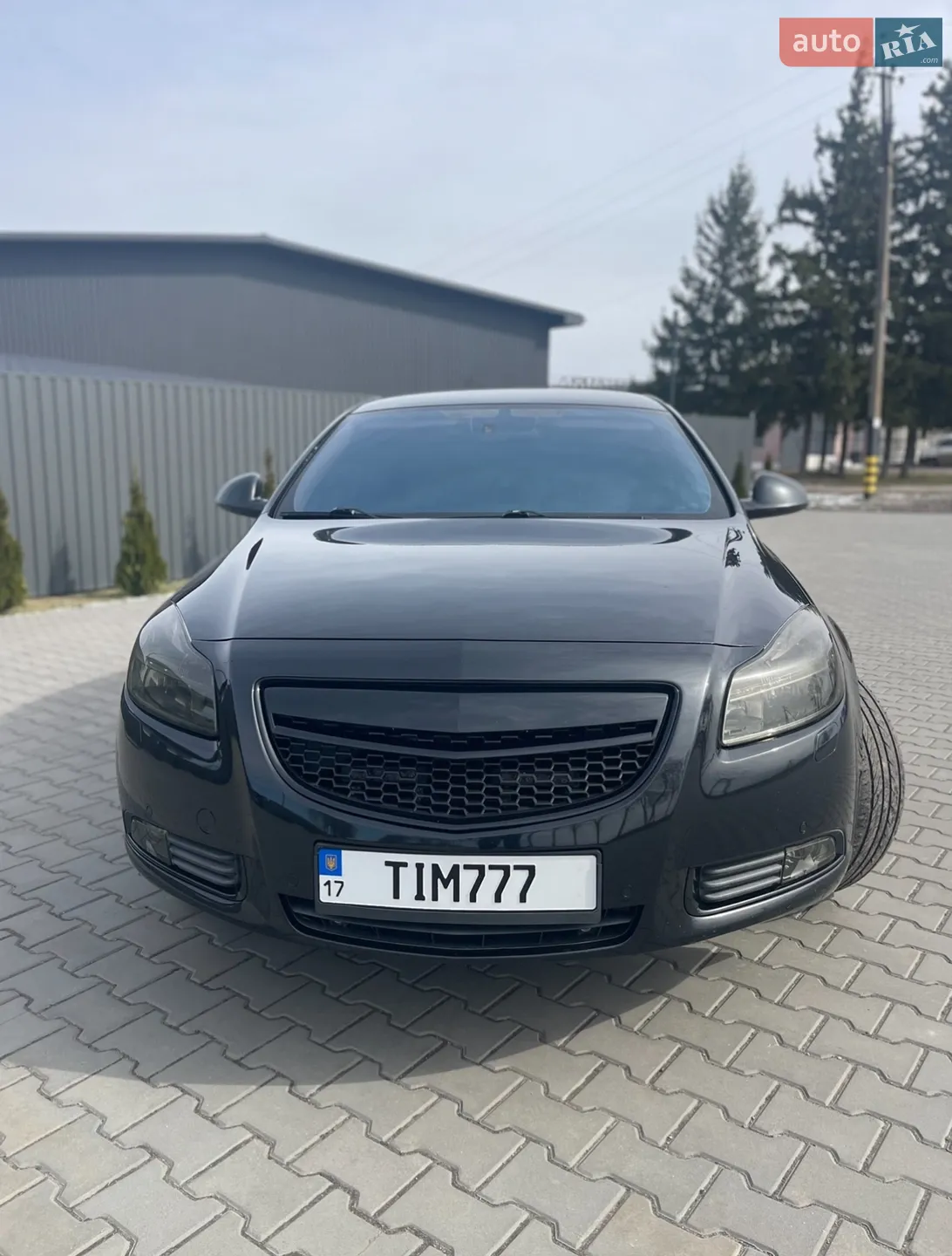 2013 Opel Insignia - мініатюра 2