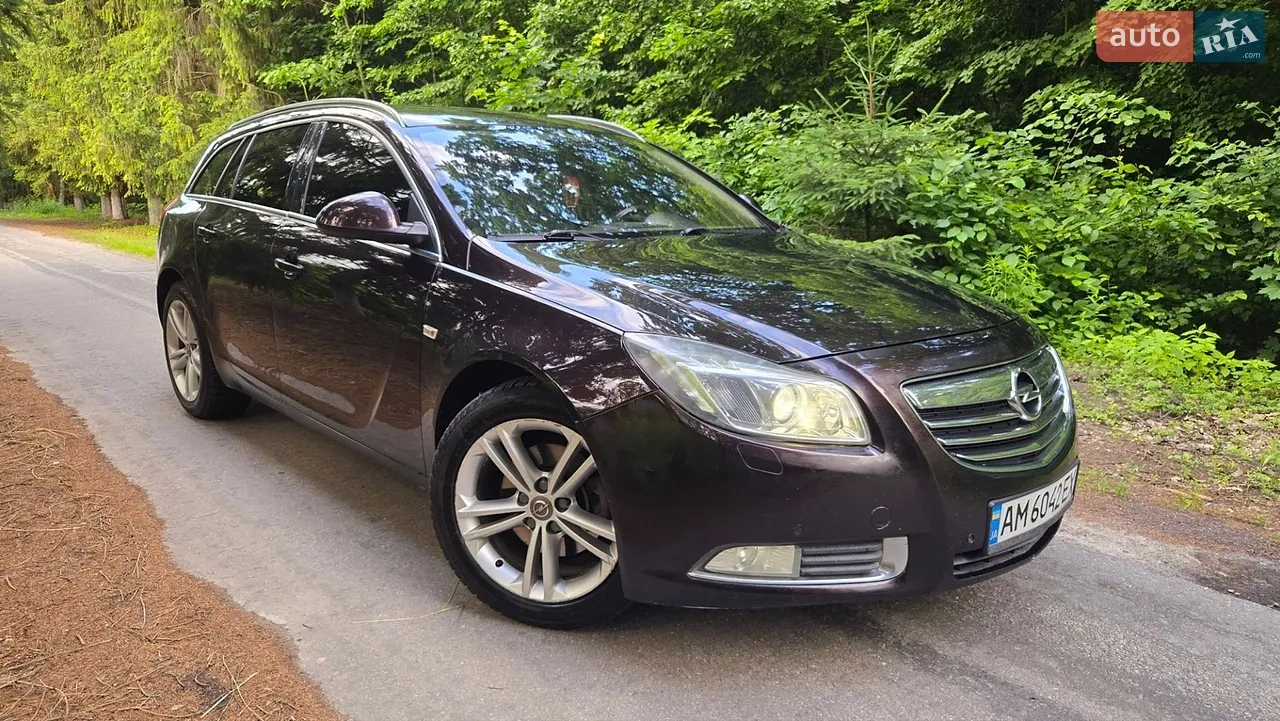 2010 Opel Insignia - мініатюра 18