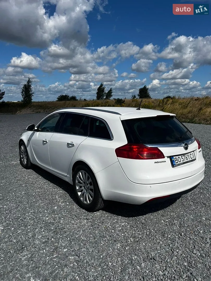 2010 Opel Insignia - мініатюра 7