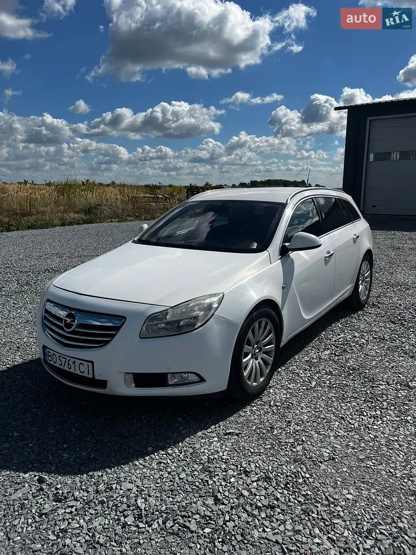 2010 Opel Insignia - мініатюра 3