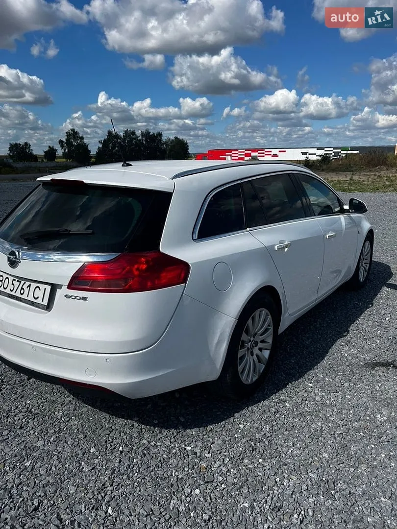 2010 Opel Insignia - мініатюра 9