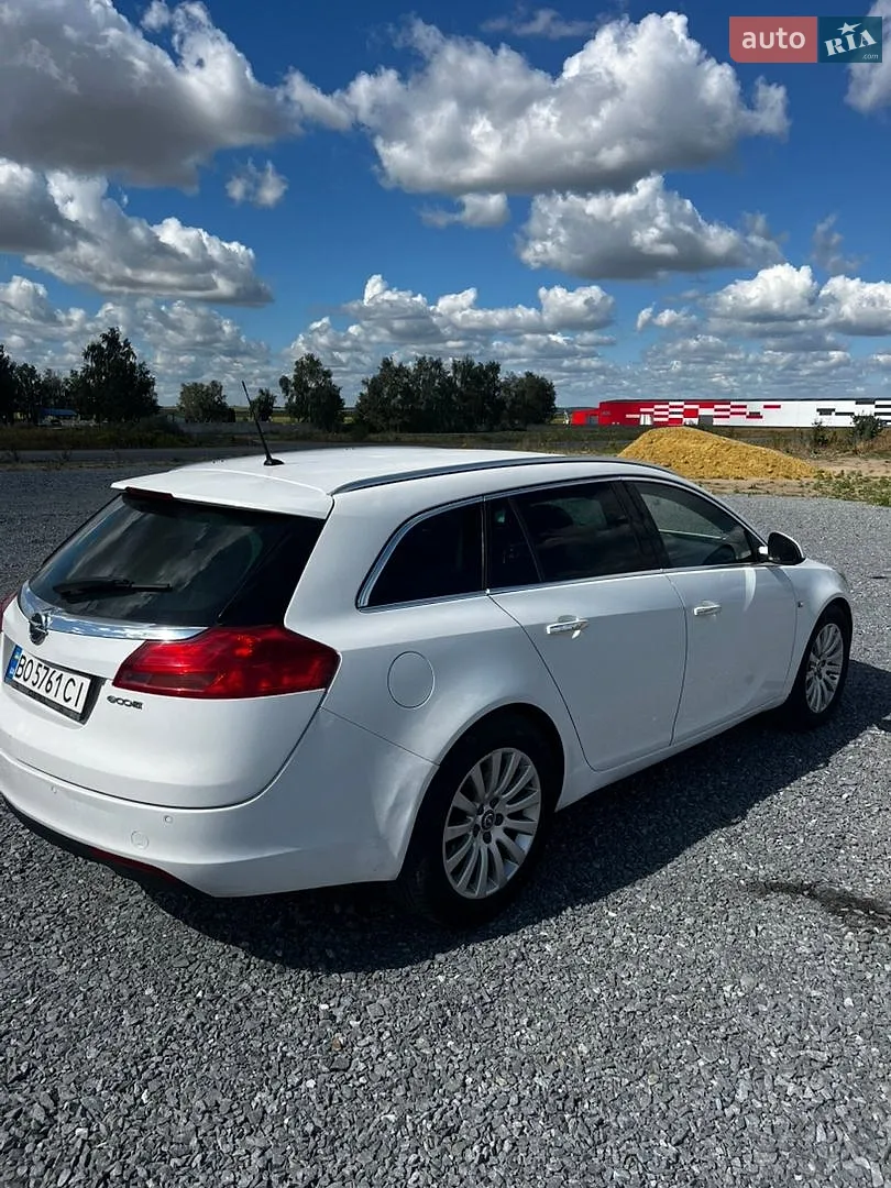 2010 Opel Insignia - мініатюра 10