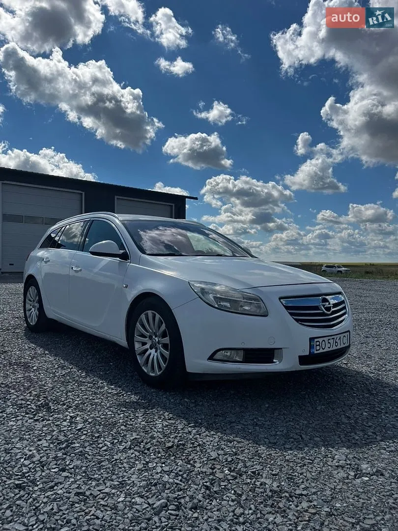 2010 Opel Insignia - мініатюра 13