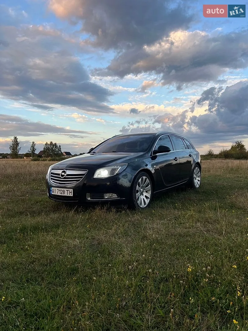 2010 Opel Insignia - мініатюра 2