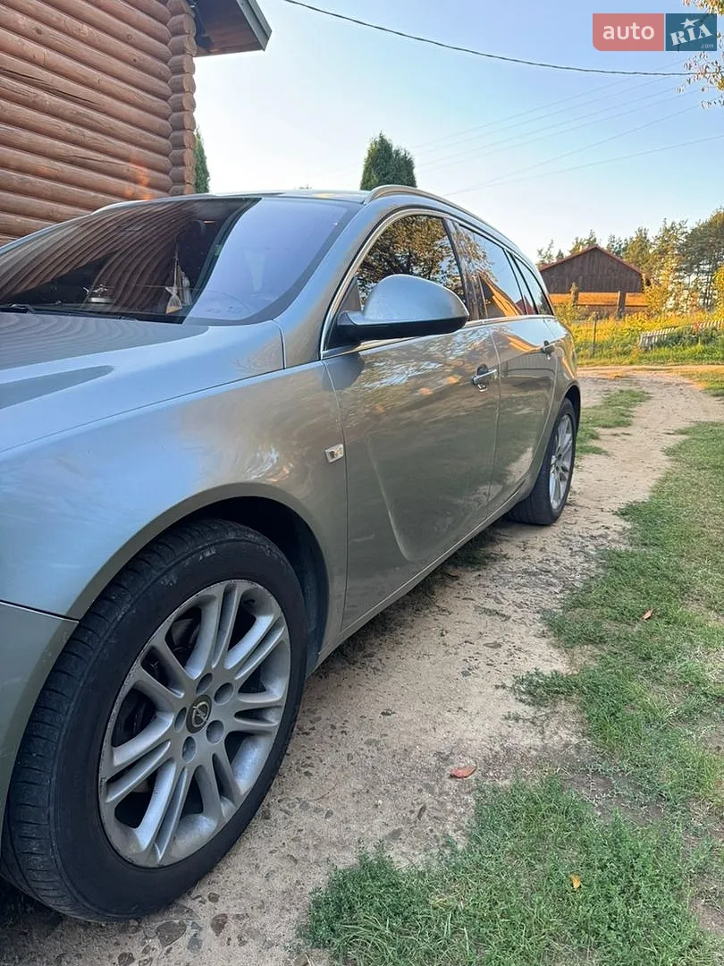2010 Opel Insignia - мініатюра 9