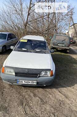 Универсал Opel Kadett 1991 в Новониколаевке