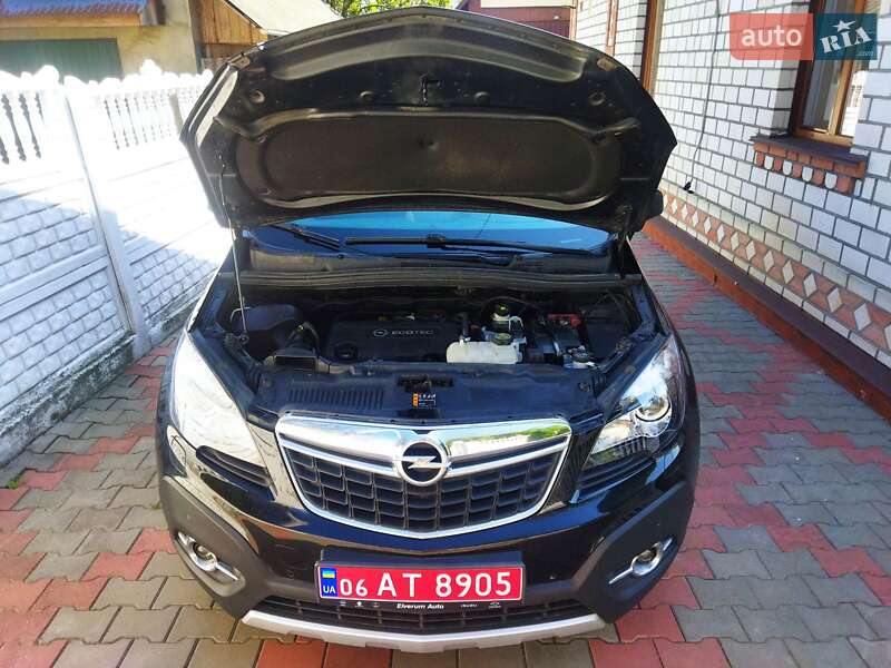 Позашляховик / Кросовер Opel Mokka 2014 в Звягелі