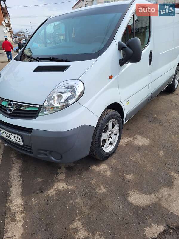 Грузопассажирский фургон Opel Vivaro 2014 в Ананьеве фото 28 Грузопассажирский фургон Opel Vivaro 2014 в Ананьеве