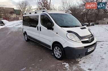 Минивэн Opel Vivaro 2013 в Житомире