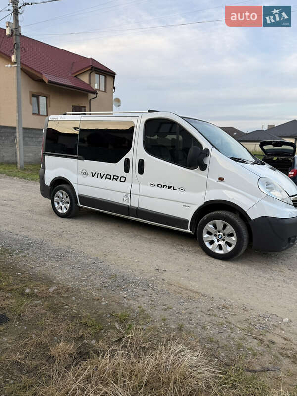 Минивэн Opel Vivaro 2007 в Виноградове