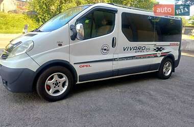 Минивэн Opel Vivaro 2008 в Каменском