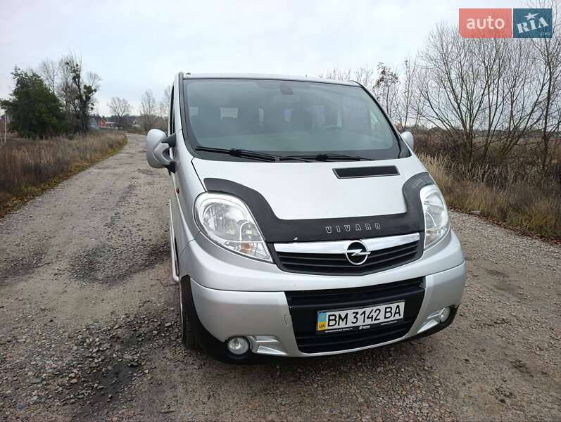 Минивэн Opel Vivaro 2010 в Ахтырке