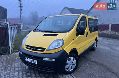 Минивэн Opel Vivaro 2004 в Тернополе