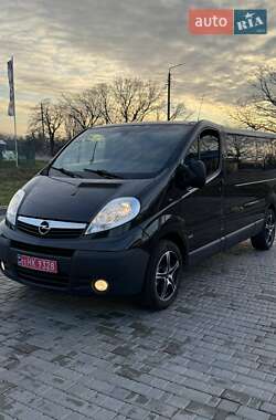 Грузовой фургон Opel Vivaro 2012 в Вознесенске