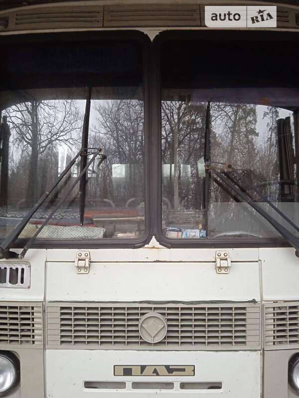 Інші автобуси ПАЗ 32053 2008 в Черкасах