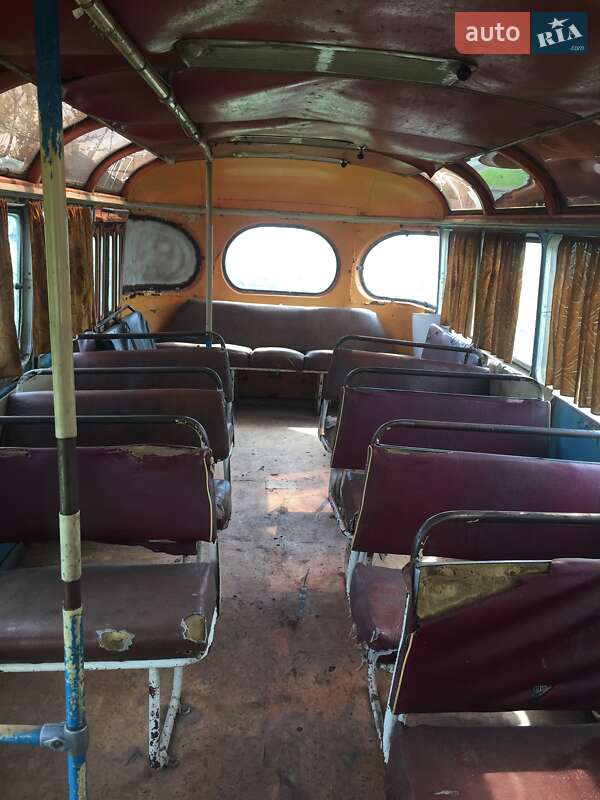 マイバチ paz_672__492872227f.jpg