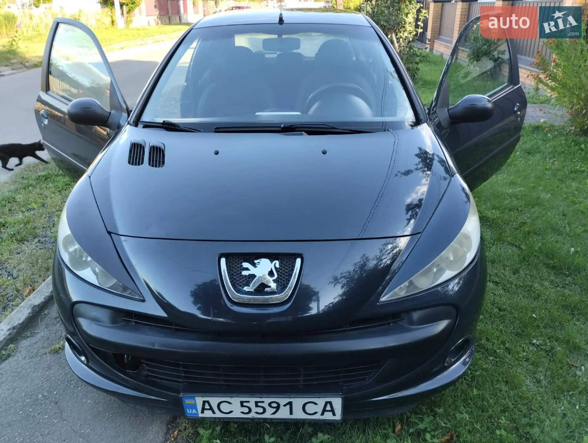 2011 Peugeot 206 - мініатюра 11