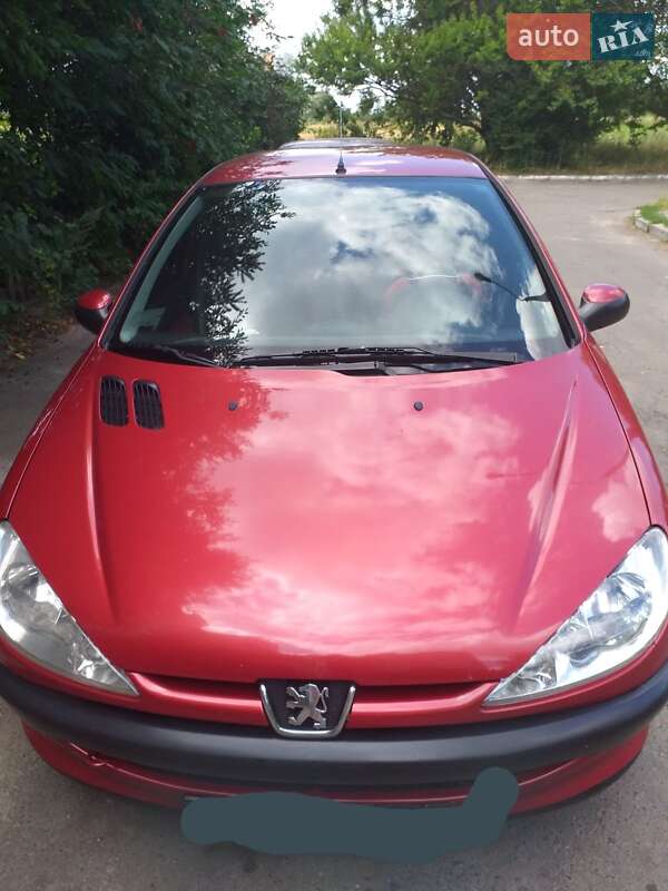 Хетчбек Peugeot 206 2005 в Овручі