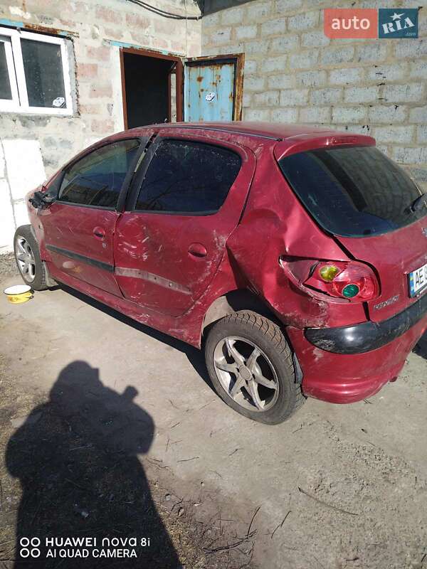Хетчбек Peugeot 206 2004 в Кривому Розі
