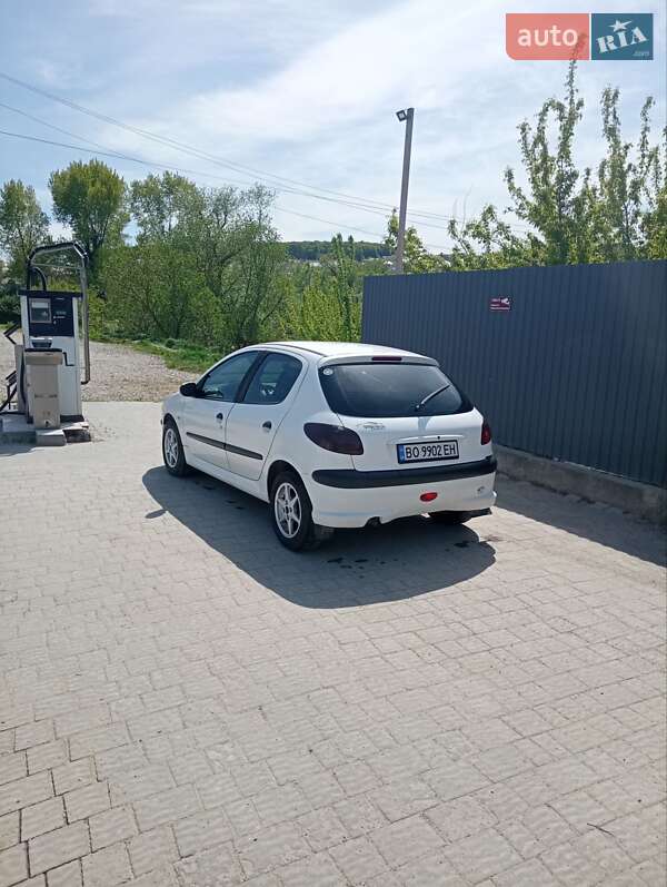 Хетчбек Peugeot 206 2007 в 