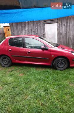 Хетчбек Peugeot 206 2006 в Житомирі