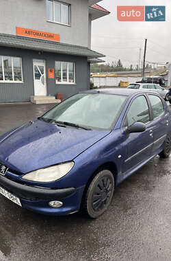 Хетчбек Peugeot 206 2000 в Тульчині