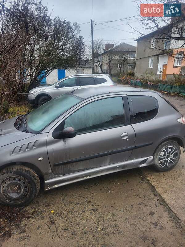 Peugeot 206 1999 Peugeot 206 1999