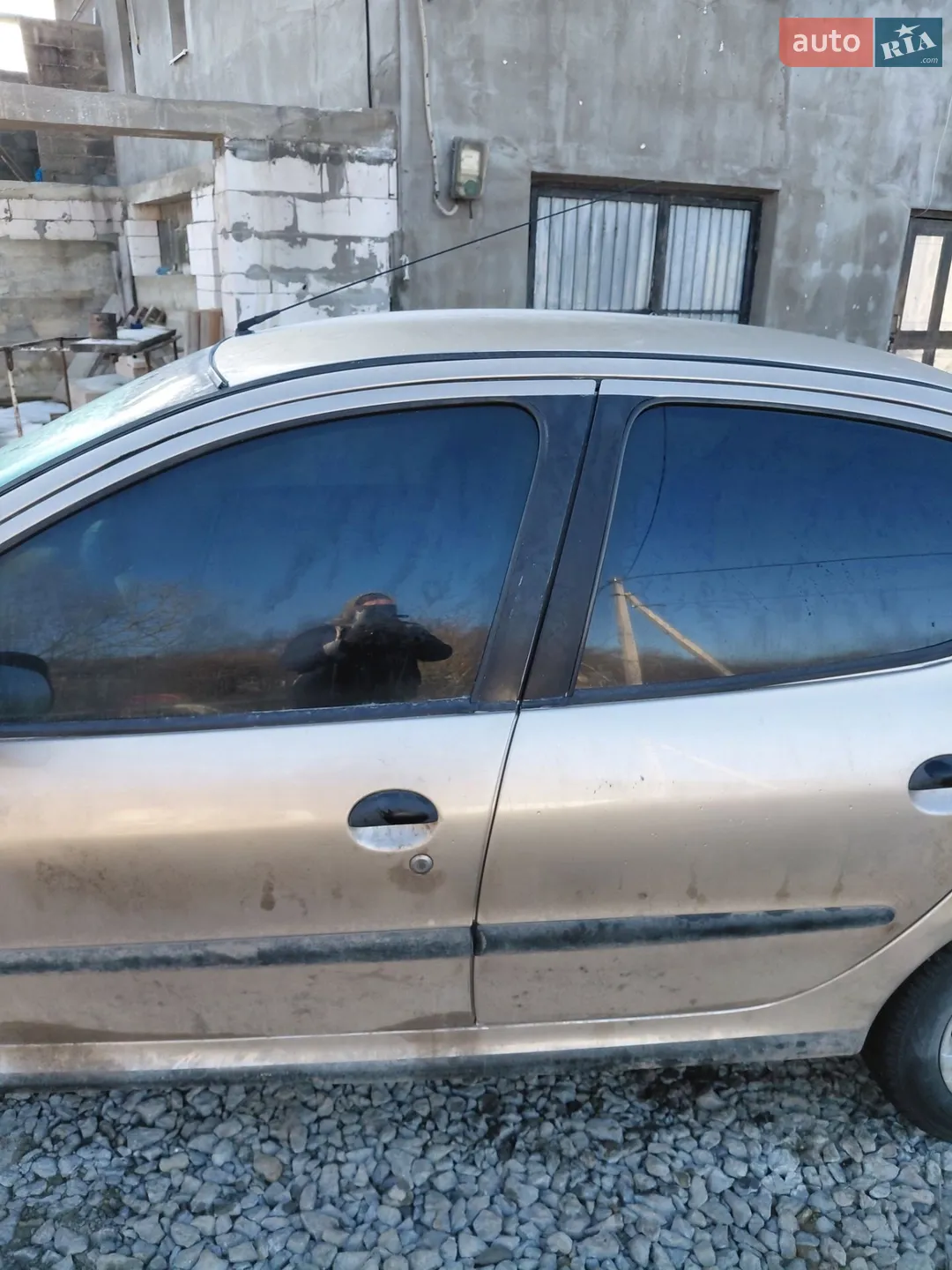 2006 Peugeot 206 - мініатюра 2