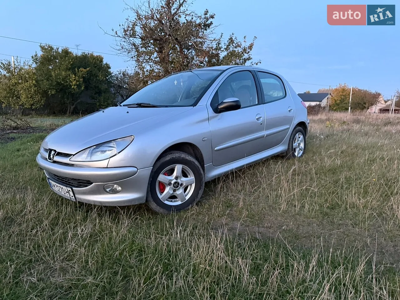 Peugeot 206 1998