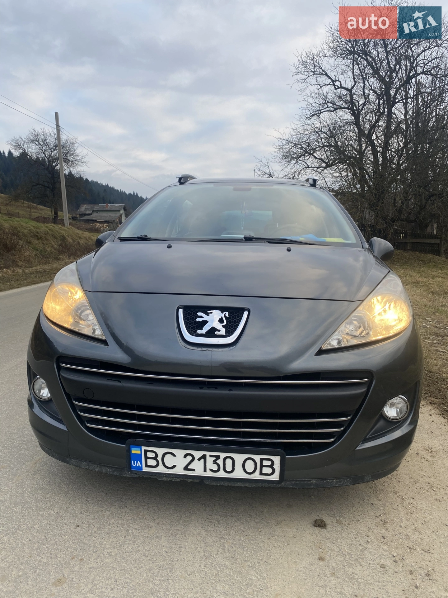 2010 Peugeot 207 - фото 1