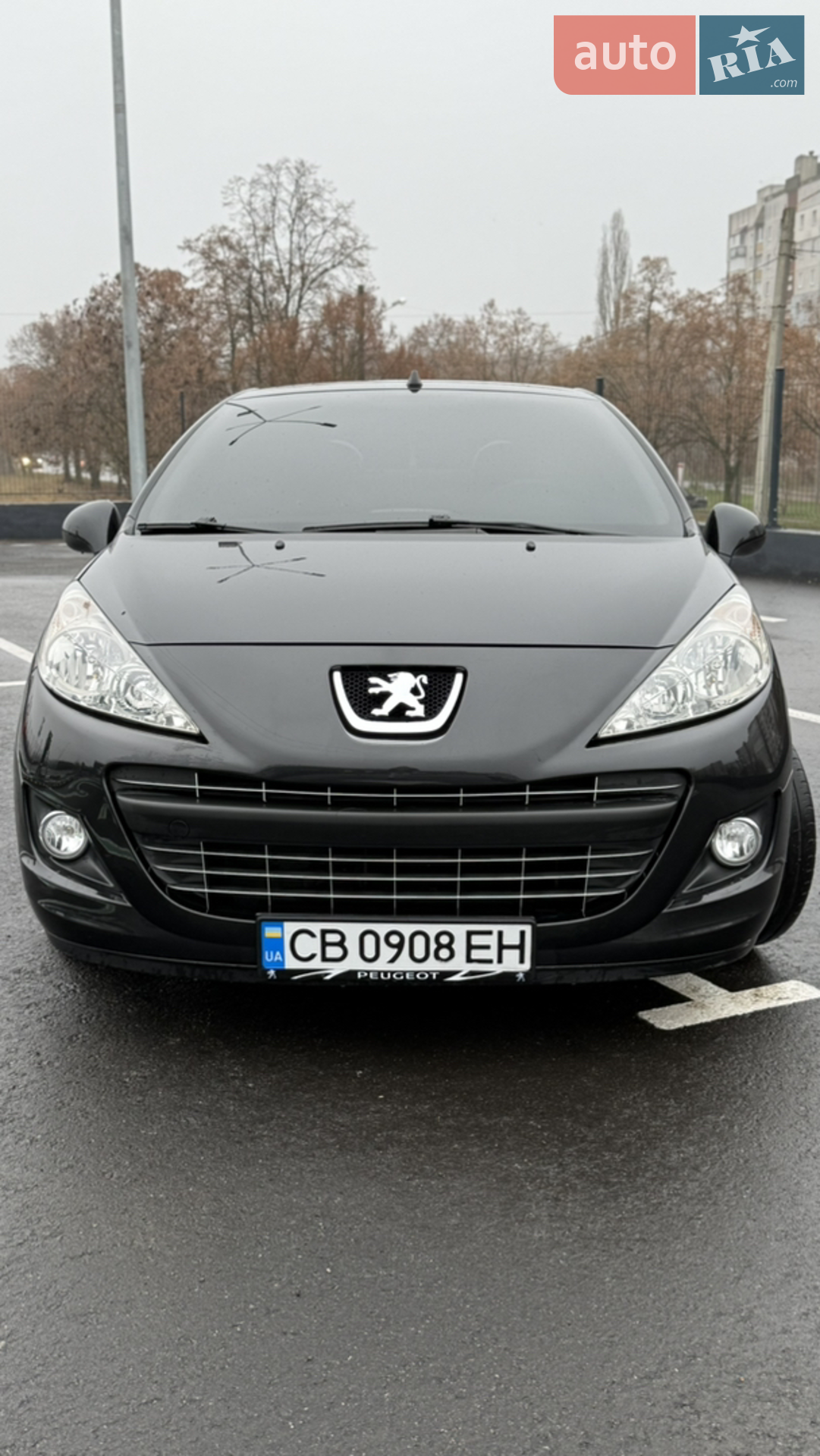 2010 Peugeot 207 - мініатюра 2
