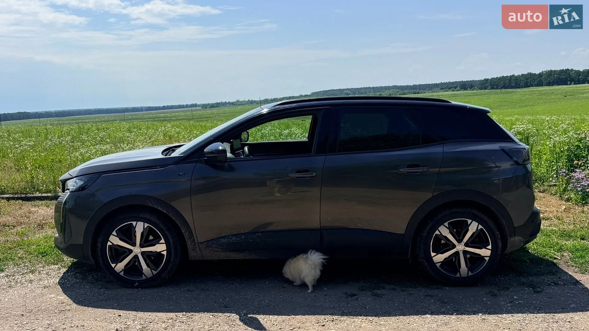 2020 Peugeot 3008 - мініатюра 3