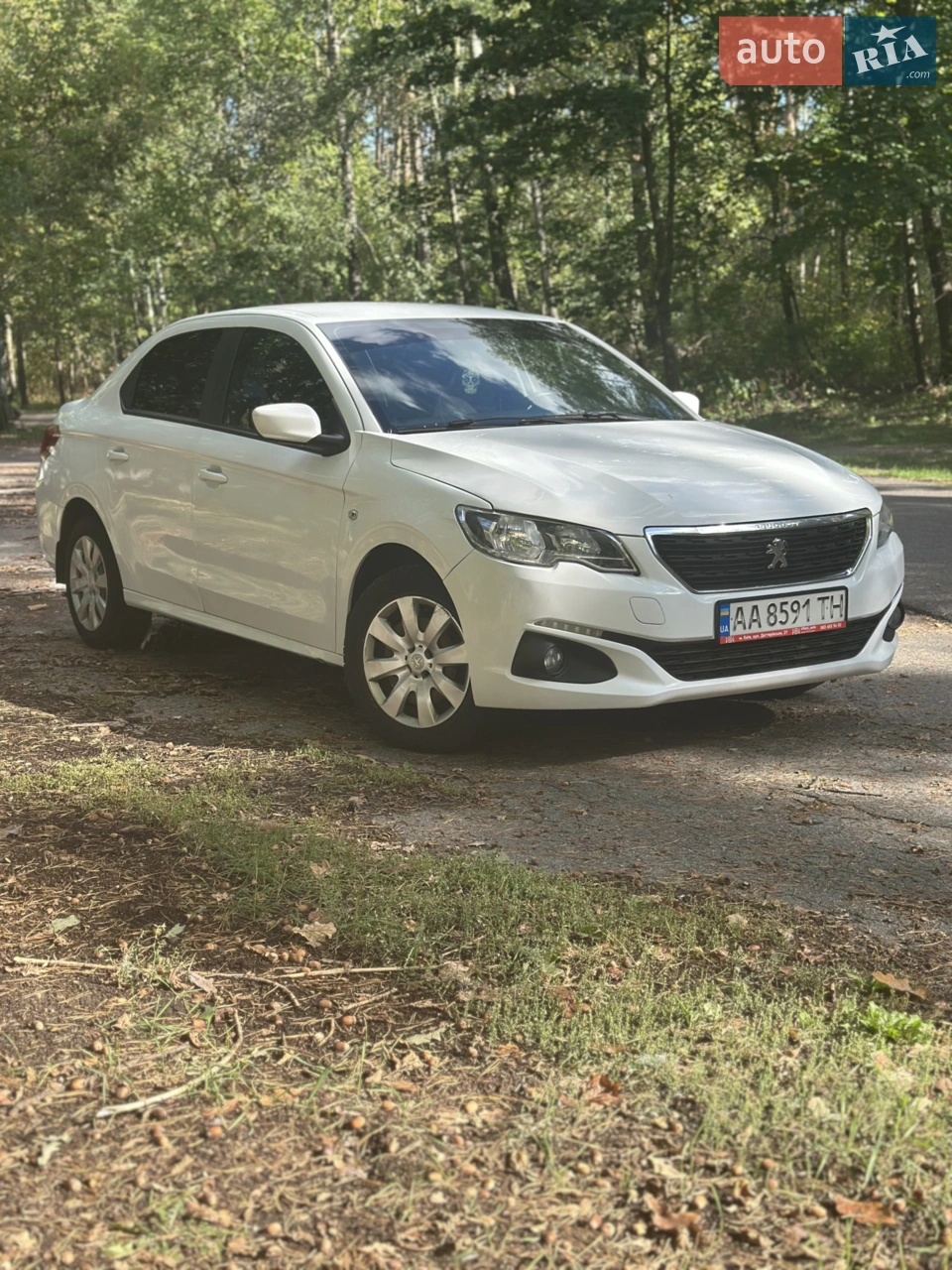 2017 Peugeot 301 - мініатюра 22