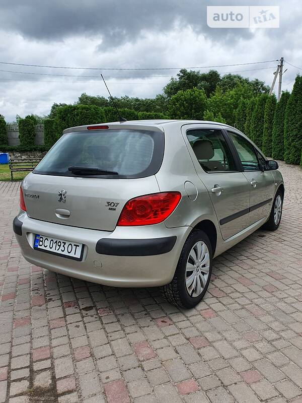 Хэтчбек Peugeot 307 2006 в Бродах